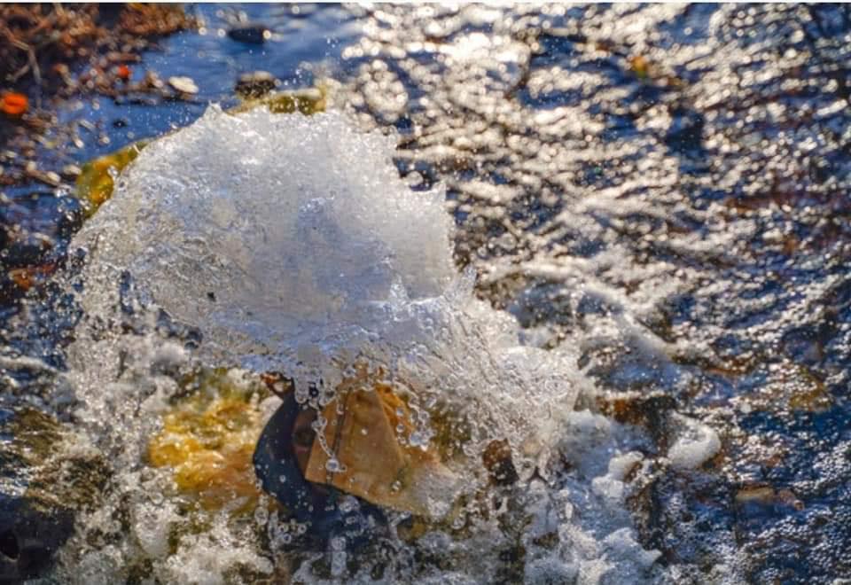 Traitement de l'eau